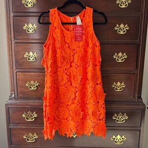 Evereve Orange Lace Garden Party Dress